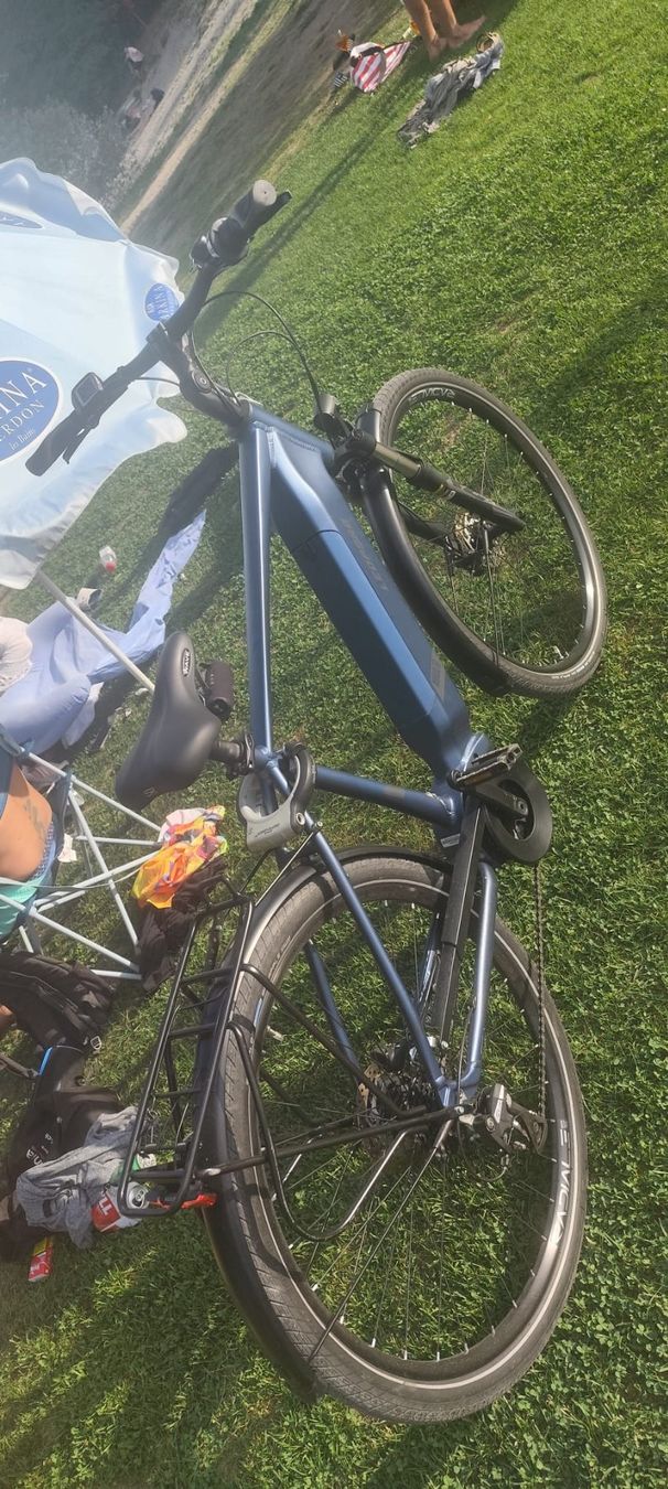 Leopard Biciclette: E-Bike Leopard Miralto – Usato da emmenbrücke venduto da xurxoskio 1