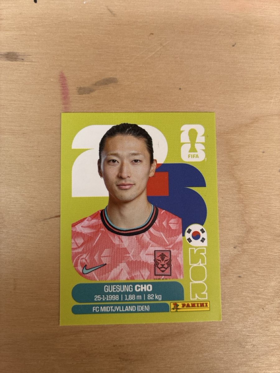 Panini Sammelbilder & Trading cards: Panini KOR 17 – Gebraucht aus Bern von dvg11
