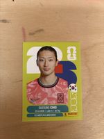 Panini KOR 17