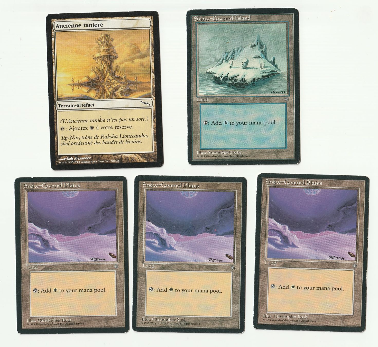 Magic The Gathering Cartes à collectionner: 5 cartes Magic the Gathering - Terrain – D'occasion à Romainmôtier par Oaxaca9
