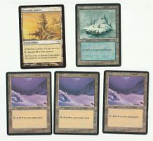 5 cartes Magic the Gathering - Terrain