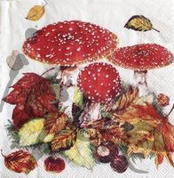 Serviette fly agric (1348) 2Stk.