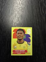 Panini FIFA World Cup 2026. RSA 8