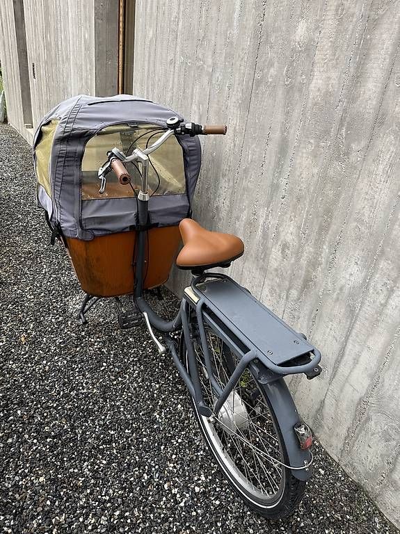Velos: Babboe City-E – Gebraucht aus Tamins von SaschaBader74 1