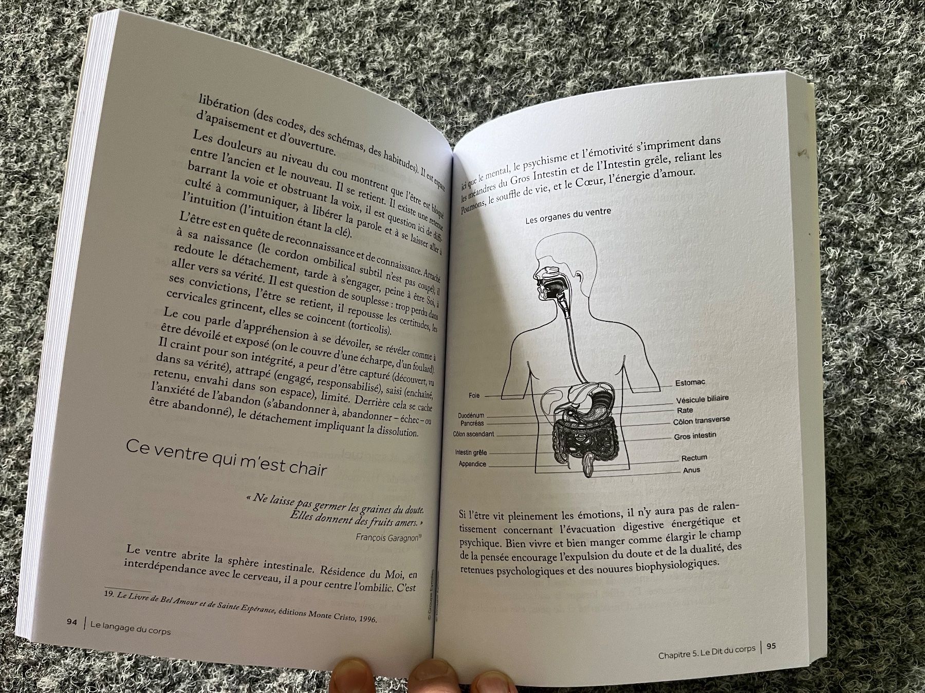 Bücher: Le langage du corps – Gebraucht aus Dombresson von joe_7p65 2
