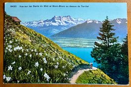 Les Avants - Narcisses & Dents du Midi 1920