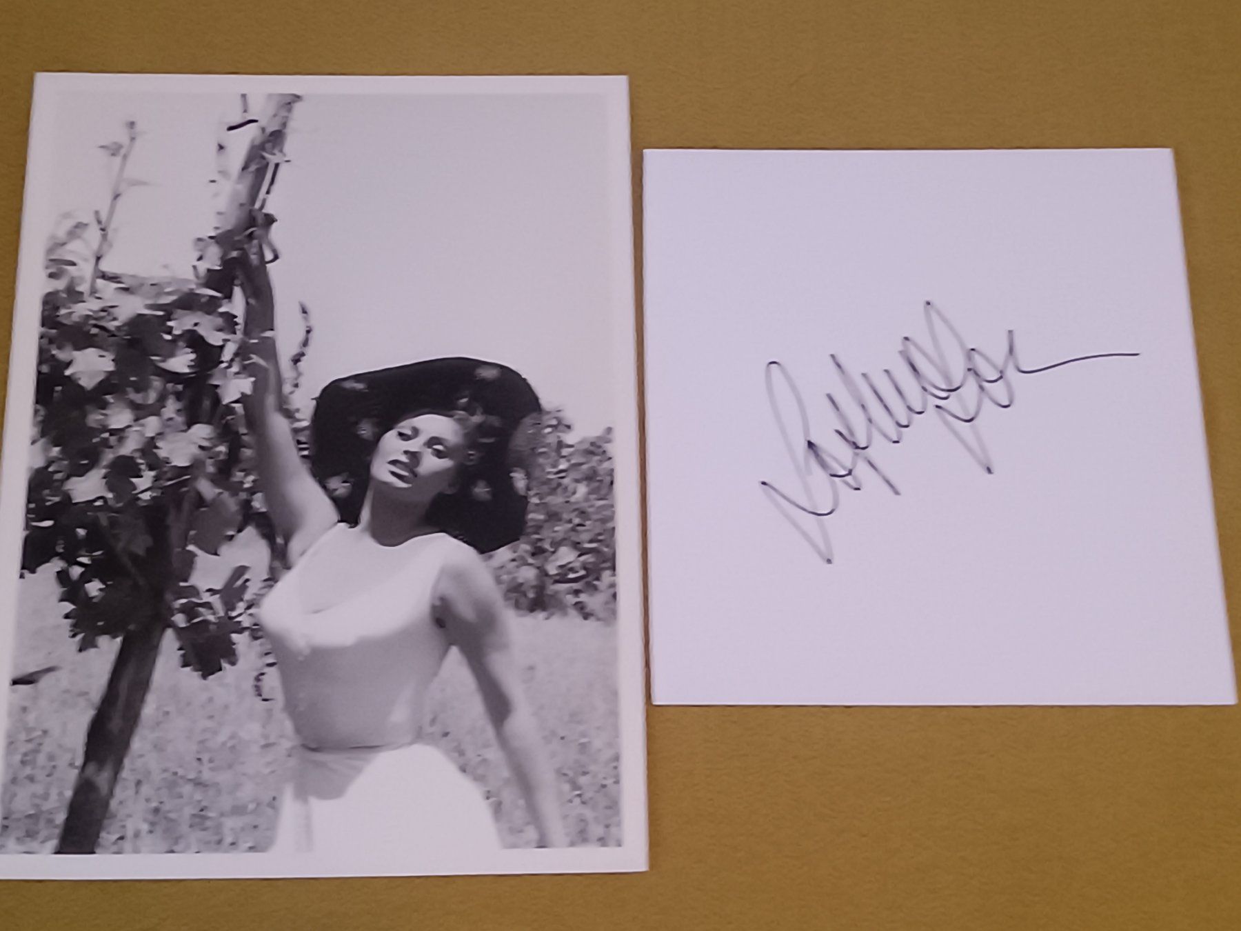 Autografi: Sophie Loren - handsigniert – Usato da Menziken venduto da Artographs