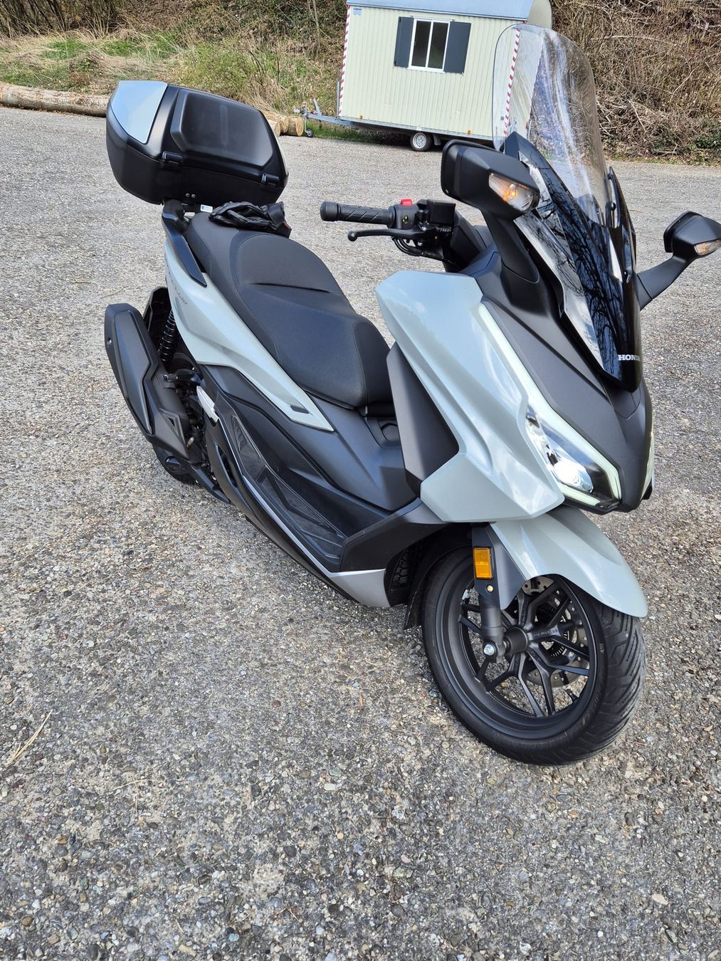 Honda Scooters: Honda NSS Forza 350 – Gebraucht aus Niederhasli von 4zwerglis