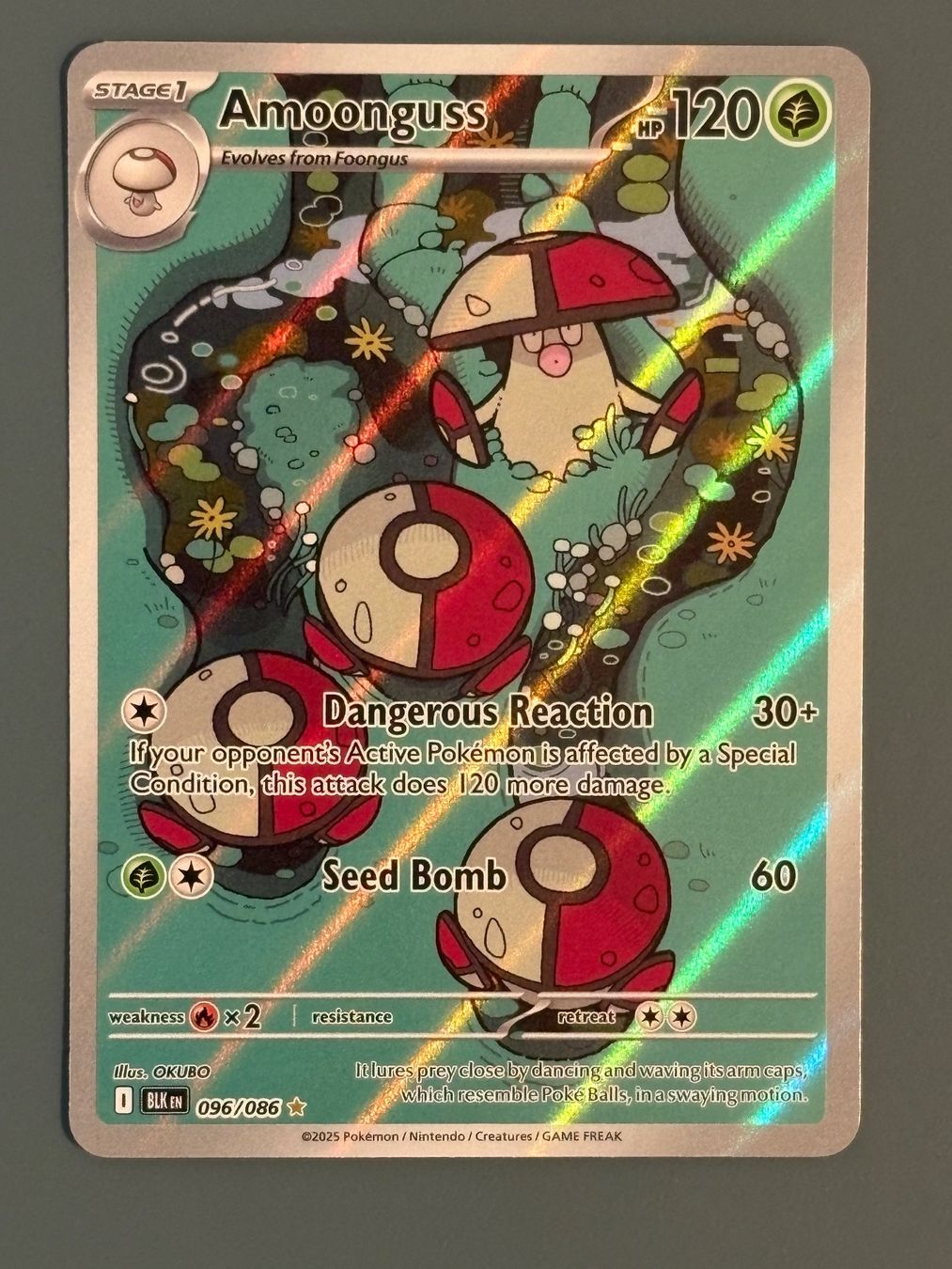 Pokémon Sammelbilder & Trading cards: Amoonguss - BLK - ENG – Neu (gemäss Beschreibung) aus Seewen SZ von Pokeace93