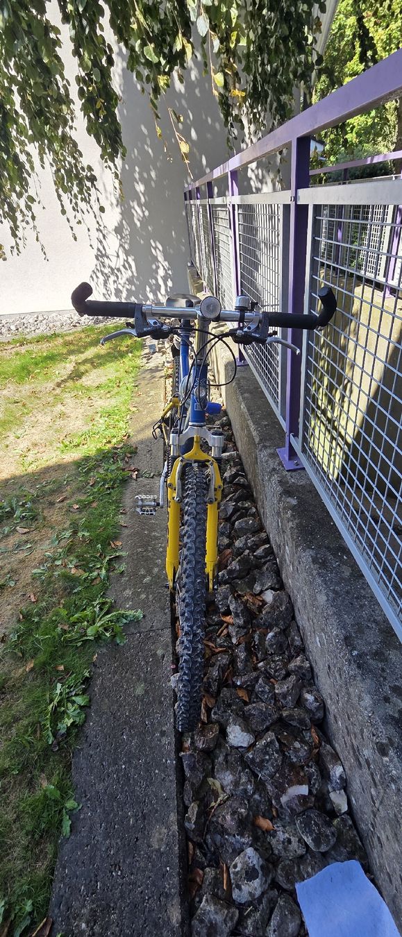 Crosswave Velos: Fahrrad Mountainbike  – Gebraucht aus Gunzgen von thomasbx 3