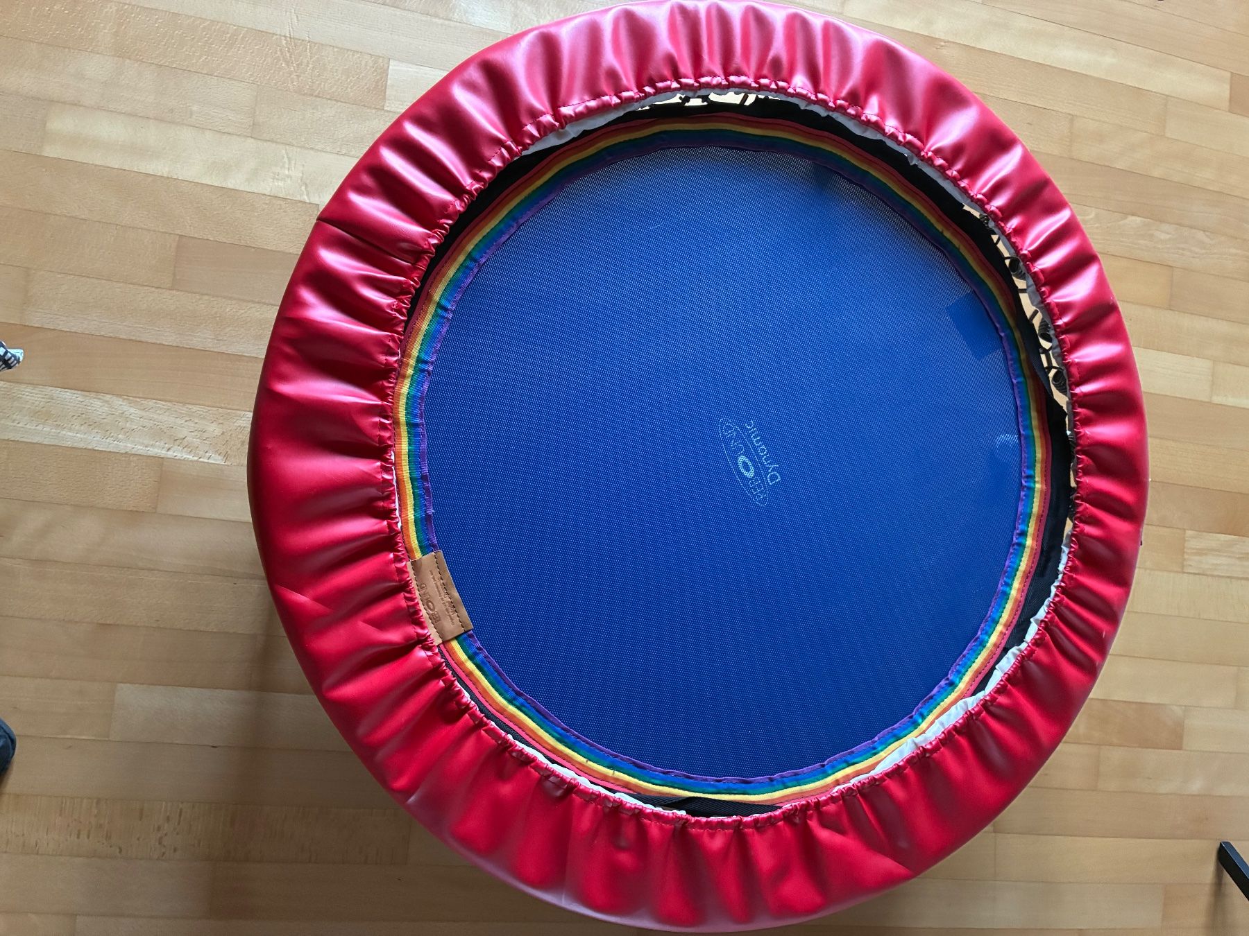 Trampolini: Fitness Training Trampolin – Usato da Küsnacht ZH venduto da ChristianL43