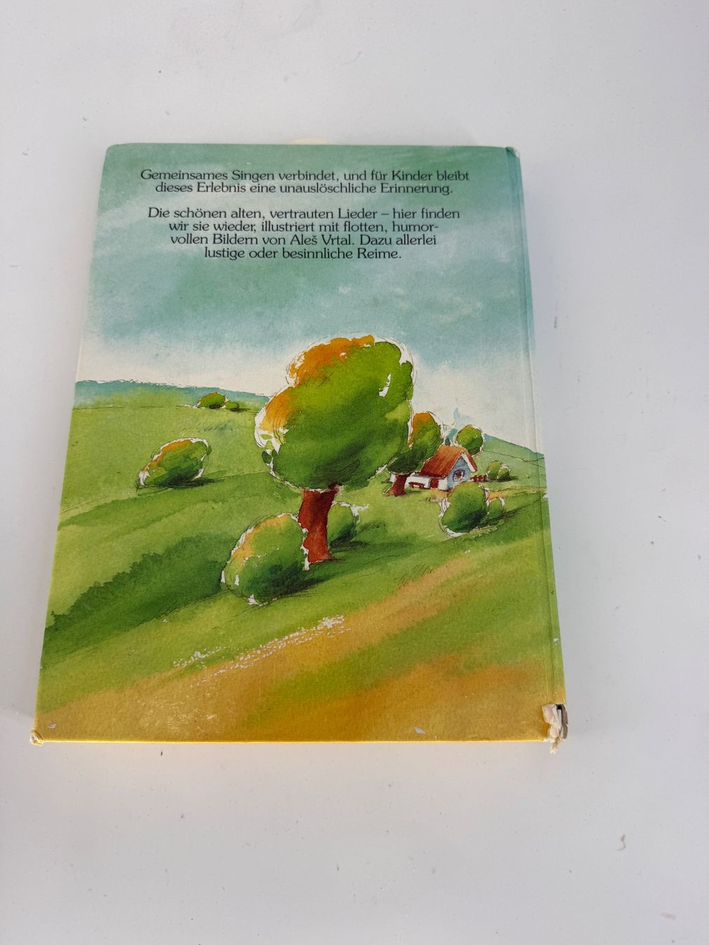 Libri: Kinderbuch mit Kinderlieder und Kinderreime – Usato da Auenstein venduto da moin. 1