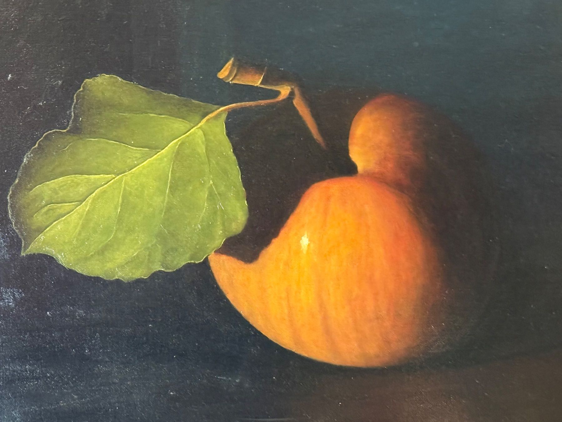 Dipinti: Oelgemälde Apfel Stilleben signiert – Usato da Bern venduto da Jwpm66 1