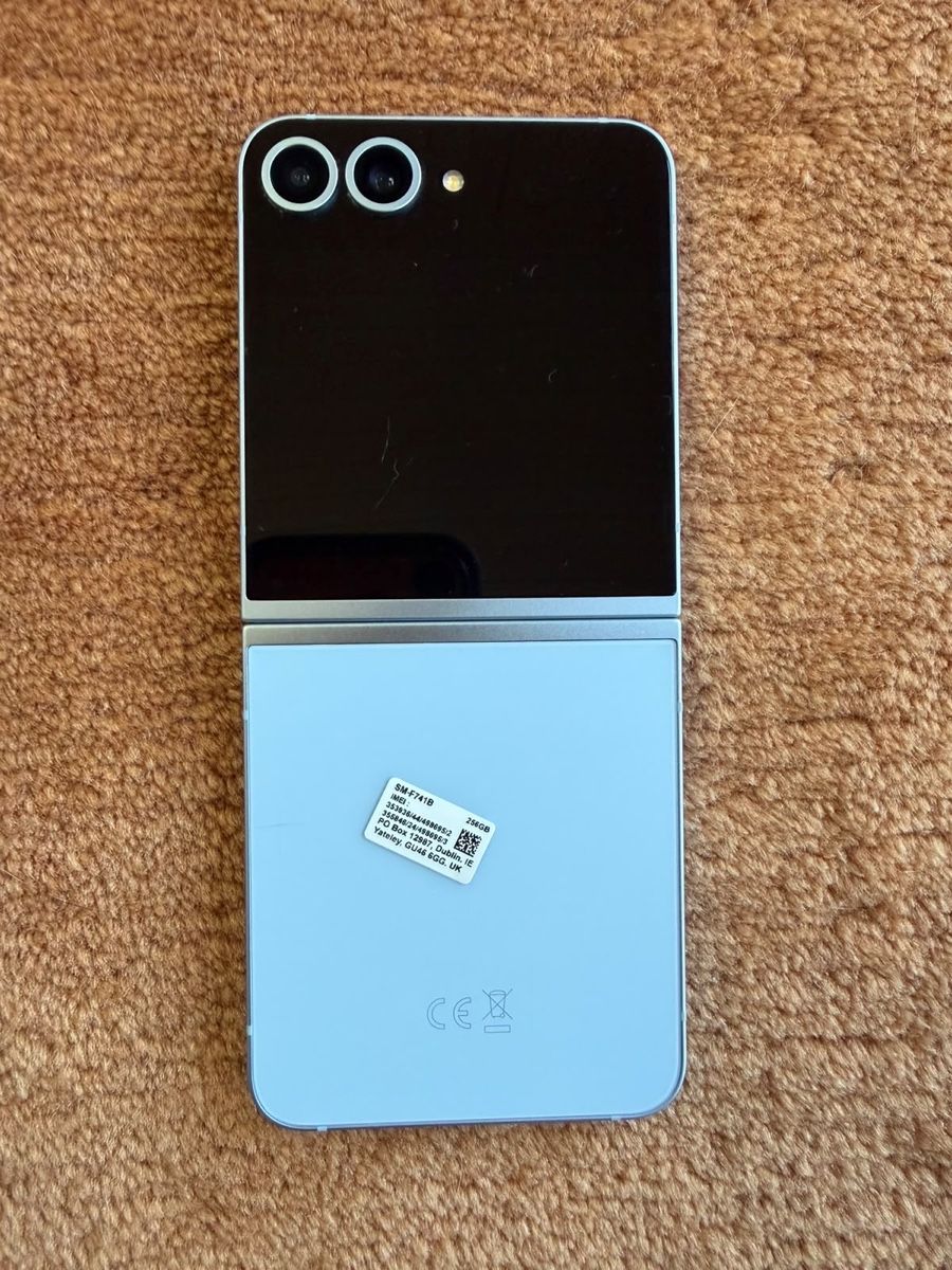 Samsung Telefoni cellulari / Smartphones: Samsung Galaxy Z Flip6 256GB lightblue – Usato da Worb venduto da chr_b2m6 2