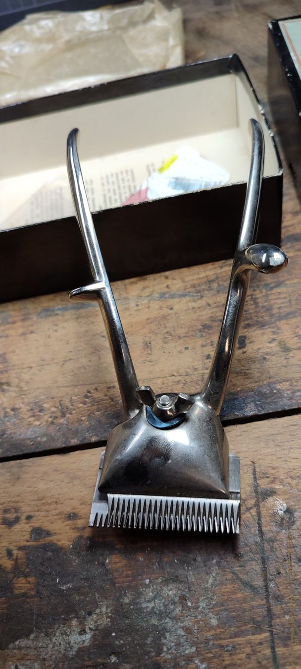 Taglio: Zwillings Haarschneider by Solingen – Usato da Gelterkinden venduto da MYSTOREFORYOU4460 4