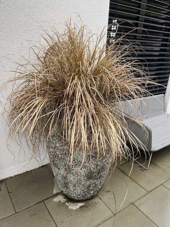 Grosser Naturstein Pflanzen Topf Kübel winterhart Behälter Kaufen auf