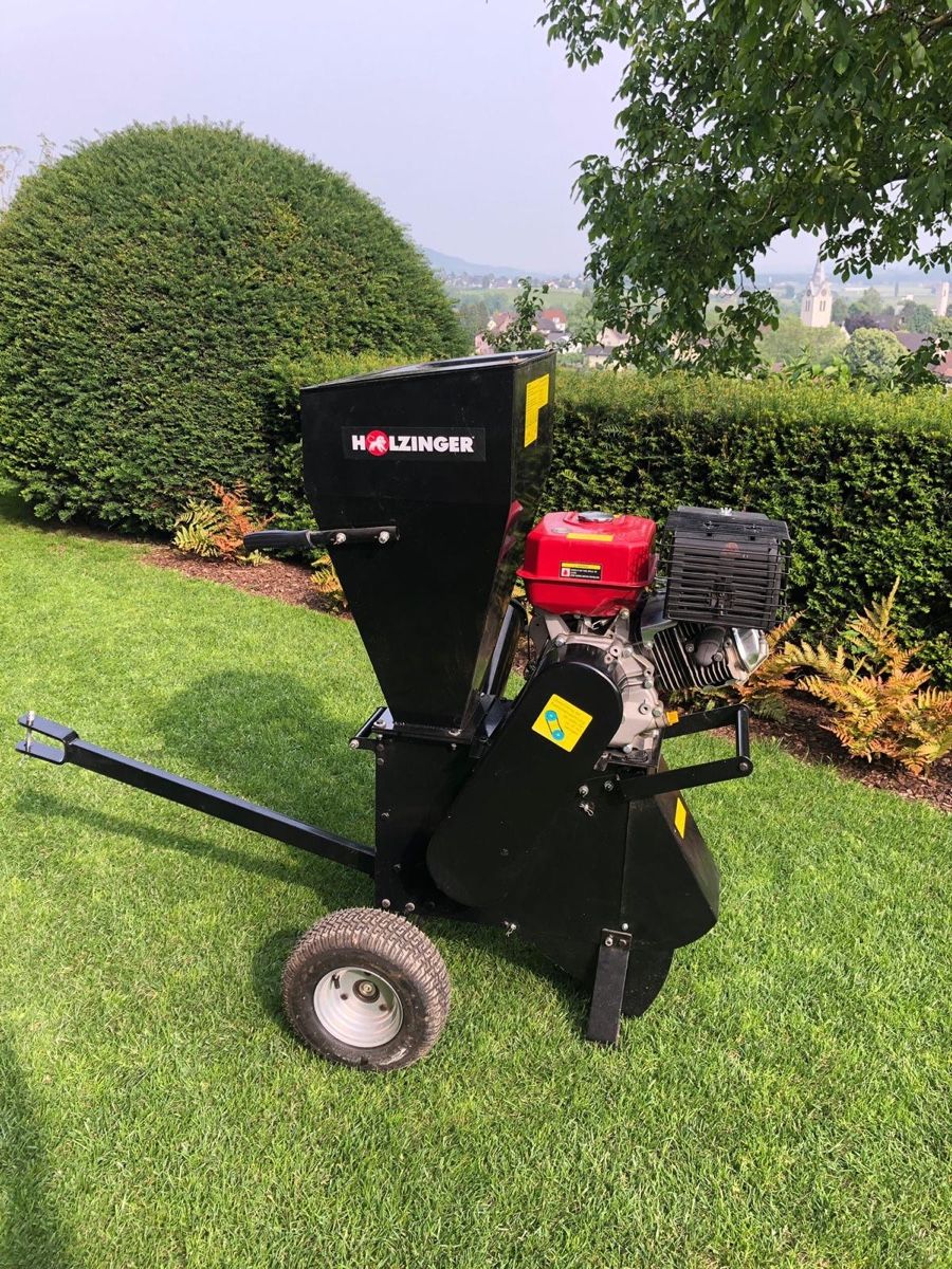Trinciatrici: Gartenhäcksler Holzinger  – Usato da Müllheim Dorf venduto da Lyly04