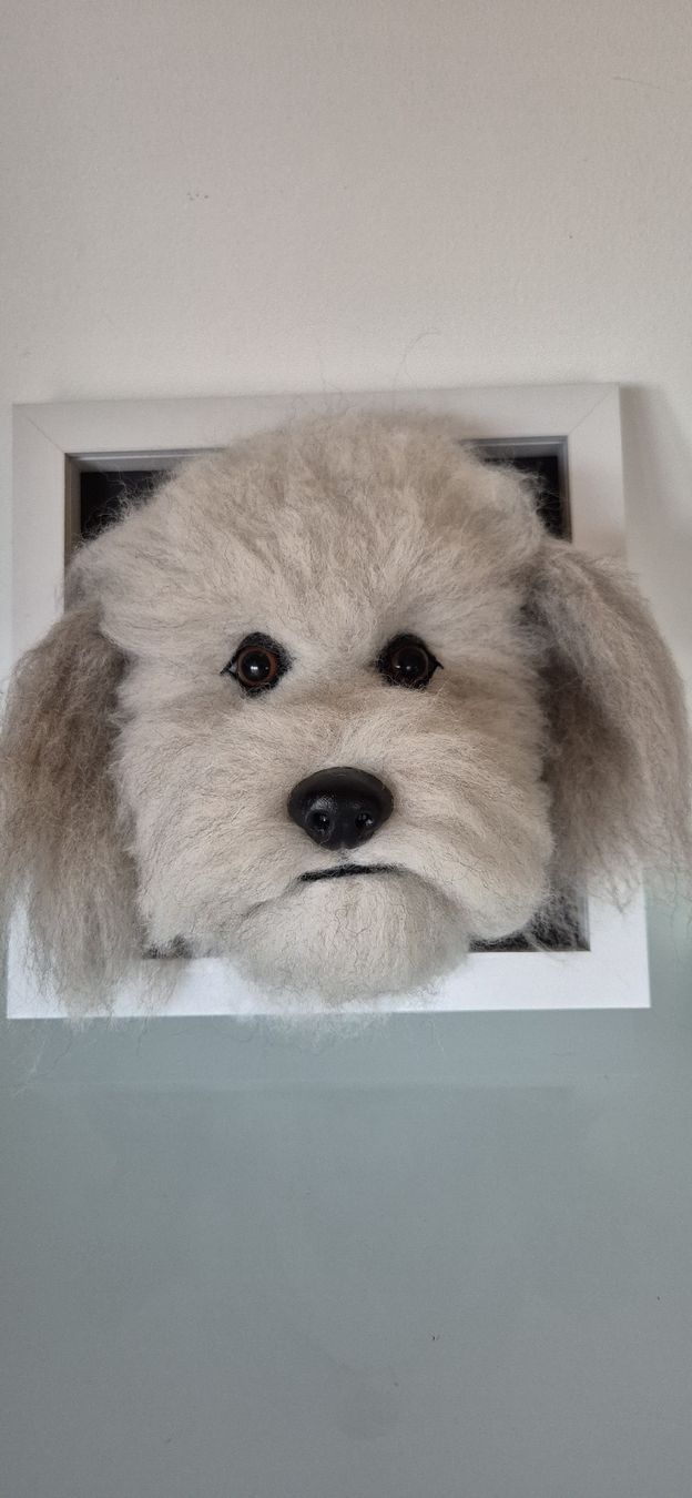 Foto & Immagini: 3D Hundeportrait im Rahmen - Handgemacht! – Nuovo (secondo la descrizione) da Moutier venduto da Maria1704 4