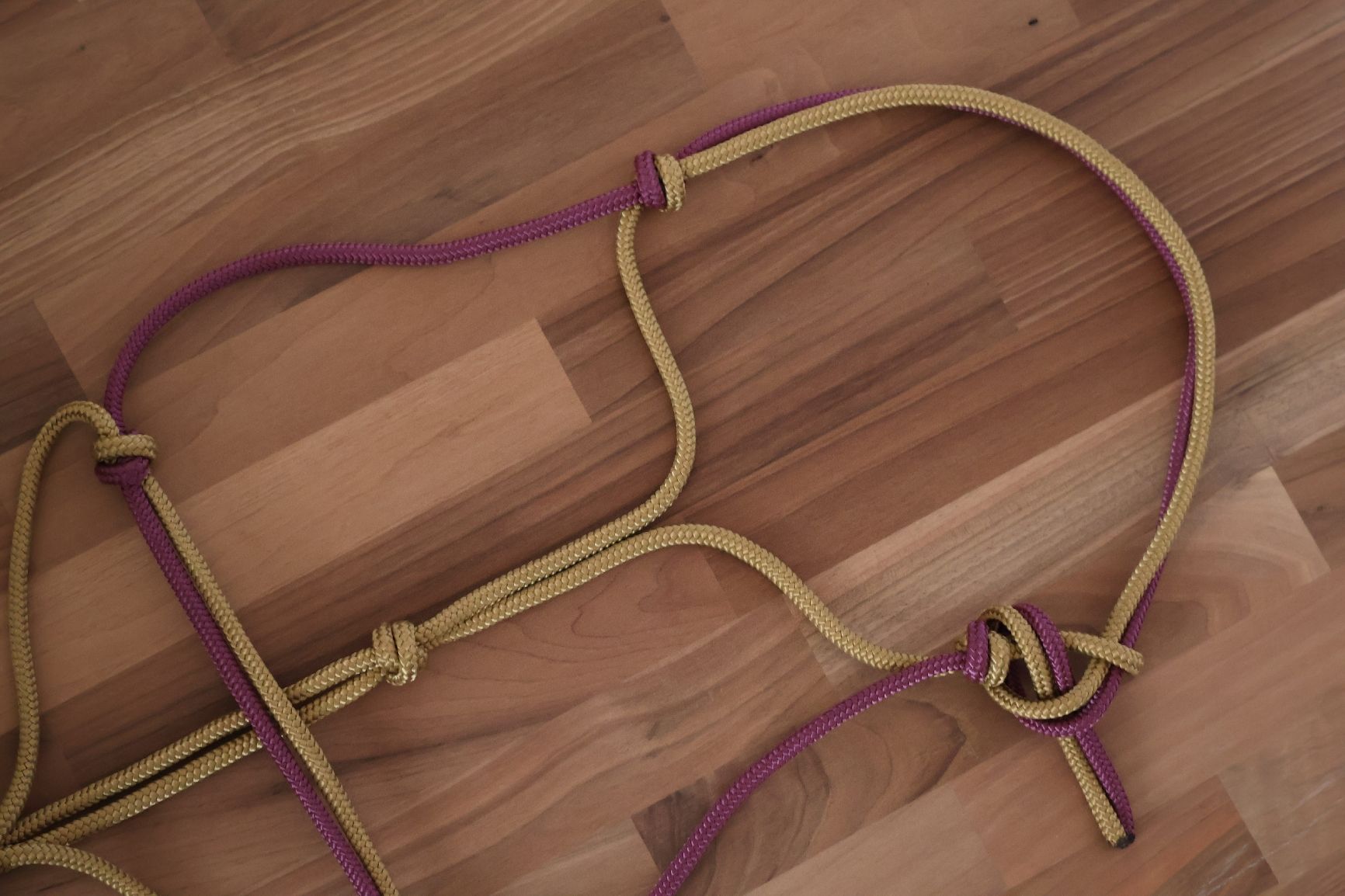 Briglie & Cavezze: Knotenhalfter Cob – Nuovo e nell'imballaggio originale da Meggen venduto da Orrinka20 2