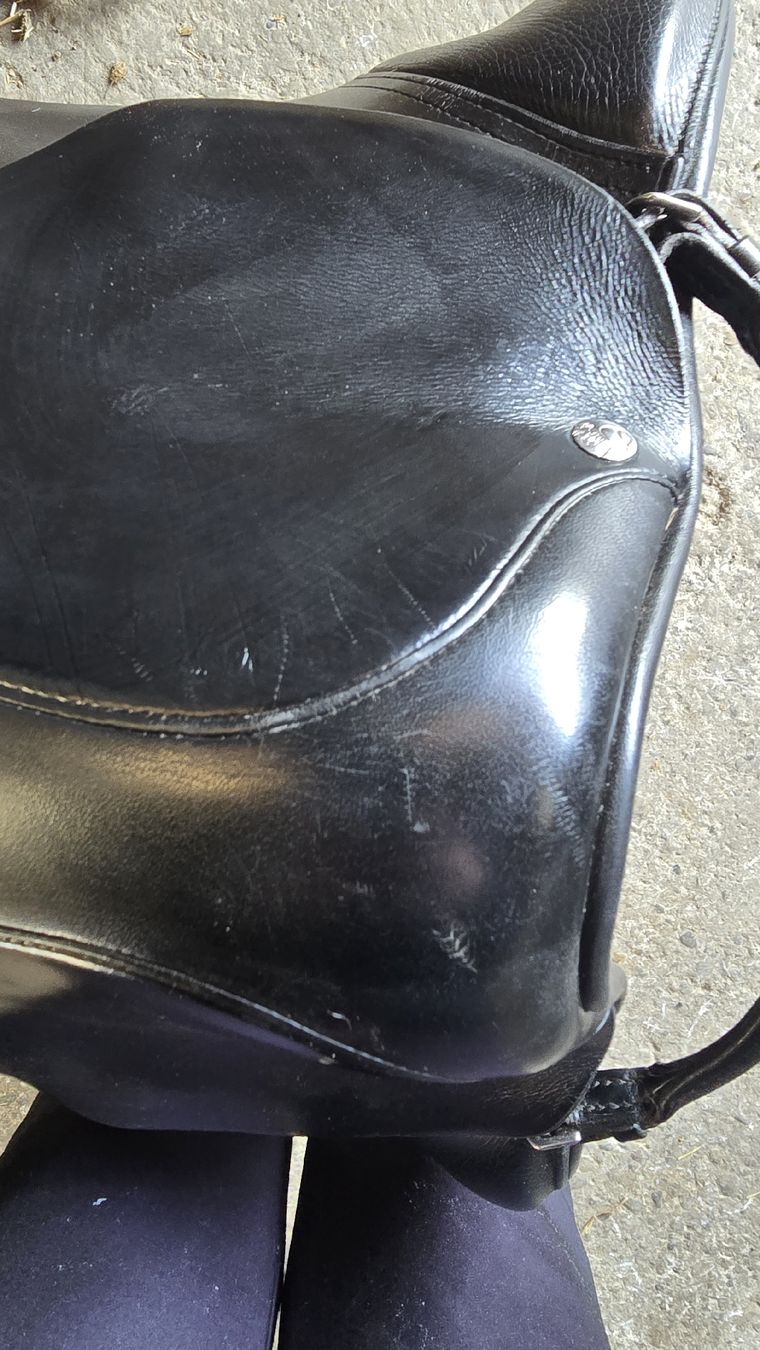 Selle & Accessori: Röösli VS sattel – Usato da Boningen venduto da 01nati 3