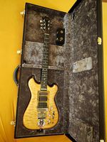 Grateful Dead Jerry Garcia Gitarre Wolf von Moriarty