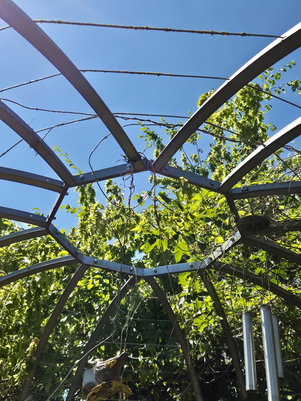 Altre Decorazioni per giardino: Rosenpavillion, Gartenlaube, Gartenbogen – Usato da Auenstein venduto da Y.C. 2