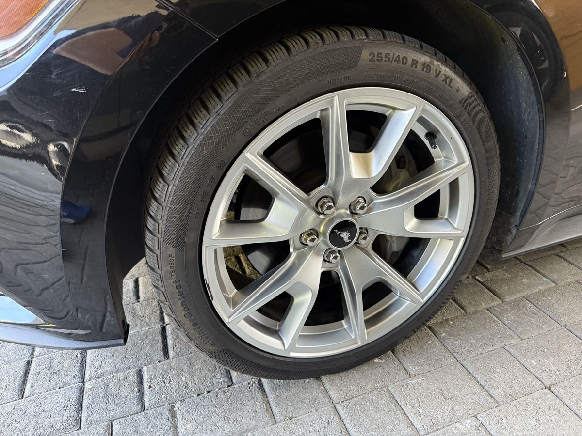 Pneumatici & Ruote complete: Felgen 19Zoll Ford Mustang – Nuovo (secondo la descrizione) da Onex venduto da trabandp 2