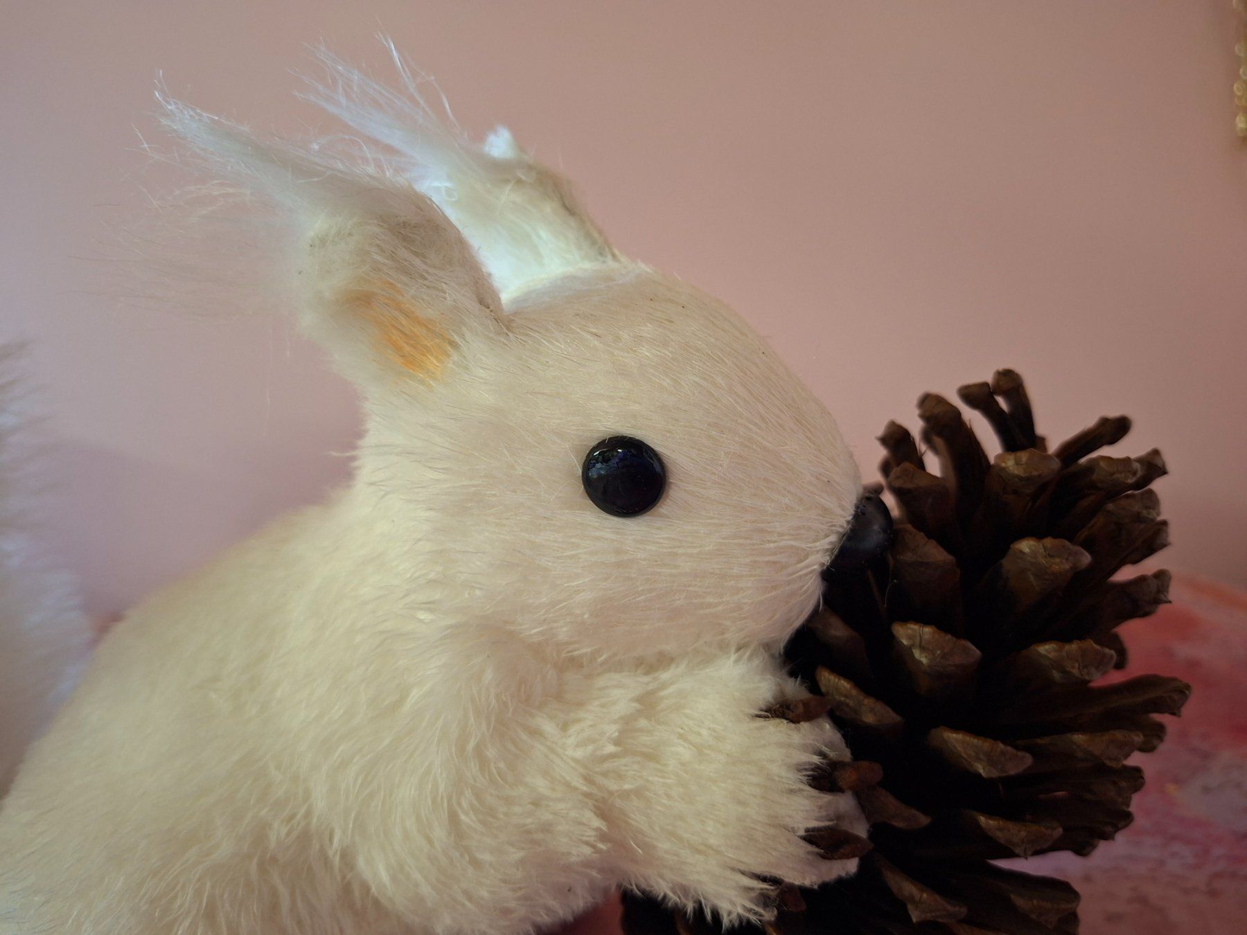 Tutte le decorazioni: neu: Deko Eichhörnchen weiss mit Tannenzapfen – Nuovo (secondo la descrizione) da Nassen venduto da verrueckt 1