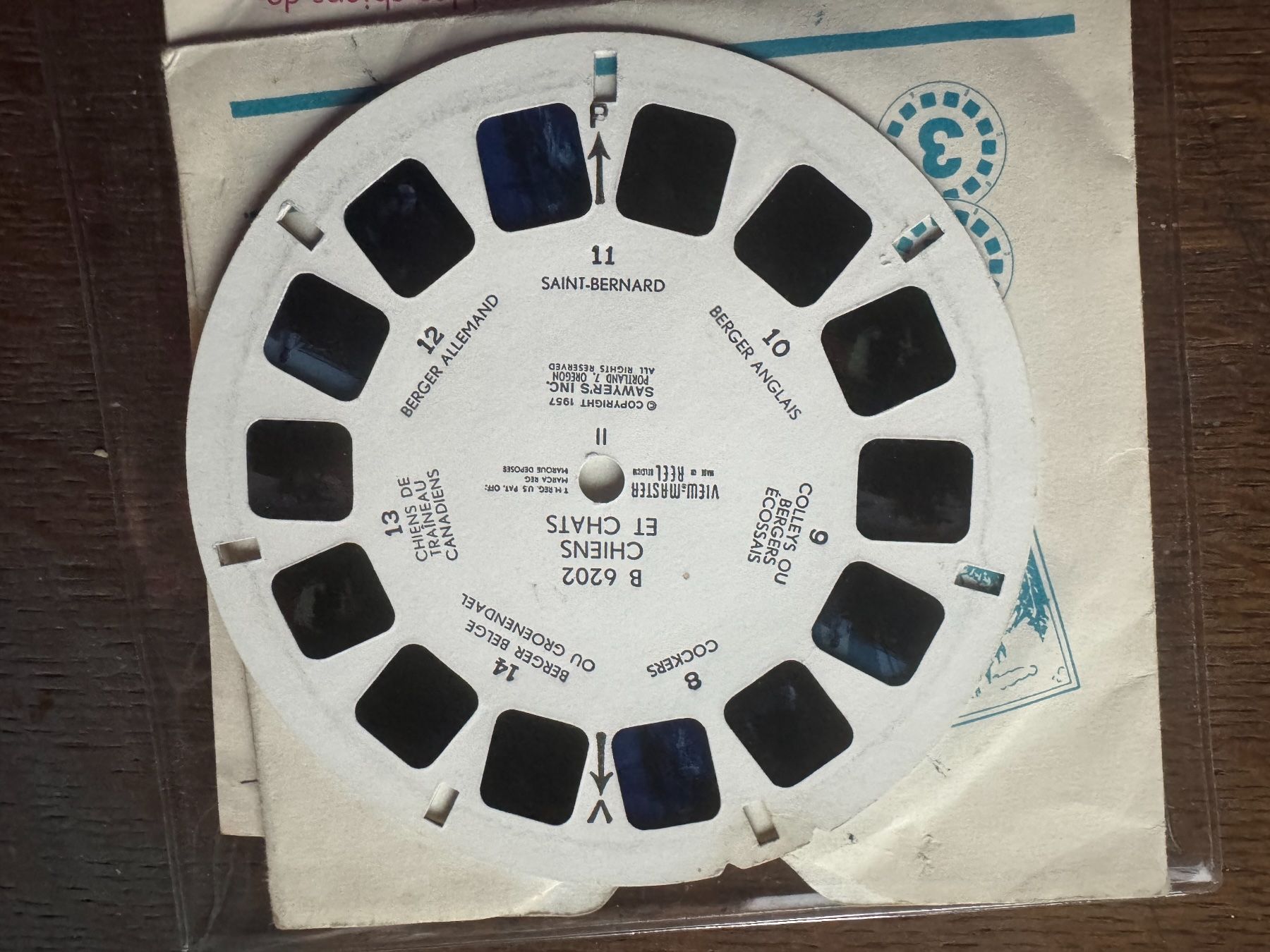 View-master Spielzeuge: View-Master 3D: Nr. B 620 CHIENS et CHATS – Gebraucht aus Tegerfelden von siebenmacky 4