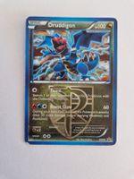 Druddigon - Promo Black Star BW80 - EN 
