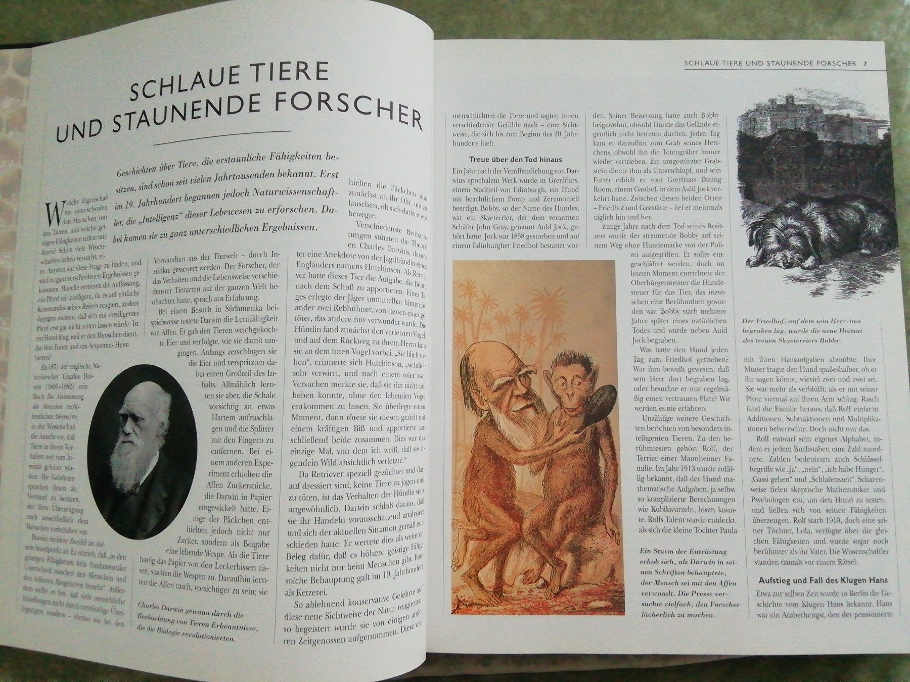 Libri: Intelligenz im Tierreich - Abenteuer Erde Buch – Usato da Ballwil venduto da eldave 2
