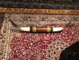 Bull Horns  mur suspendu Argentinan
