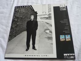 12" Schallplatte - Black - woderful life