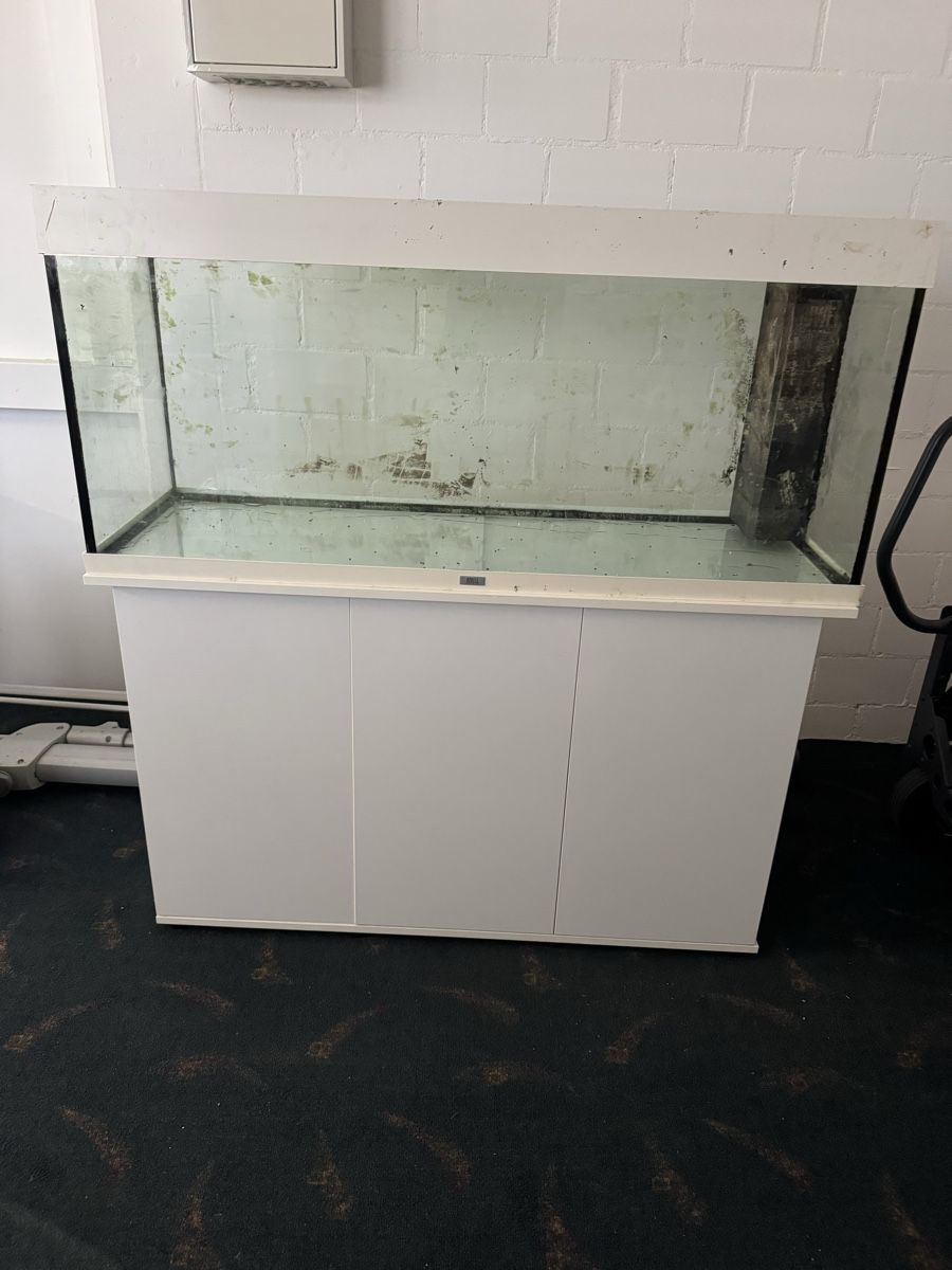 Acquari: Aquarium 200Liter – Usato da Langwiesen venduto da sea_7xsg 2