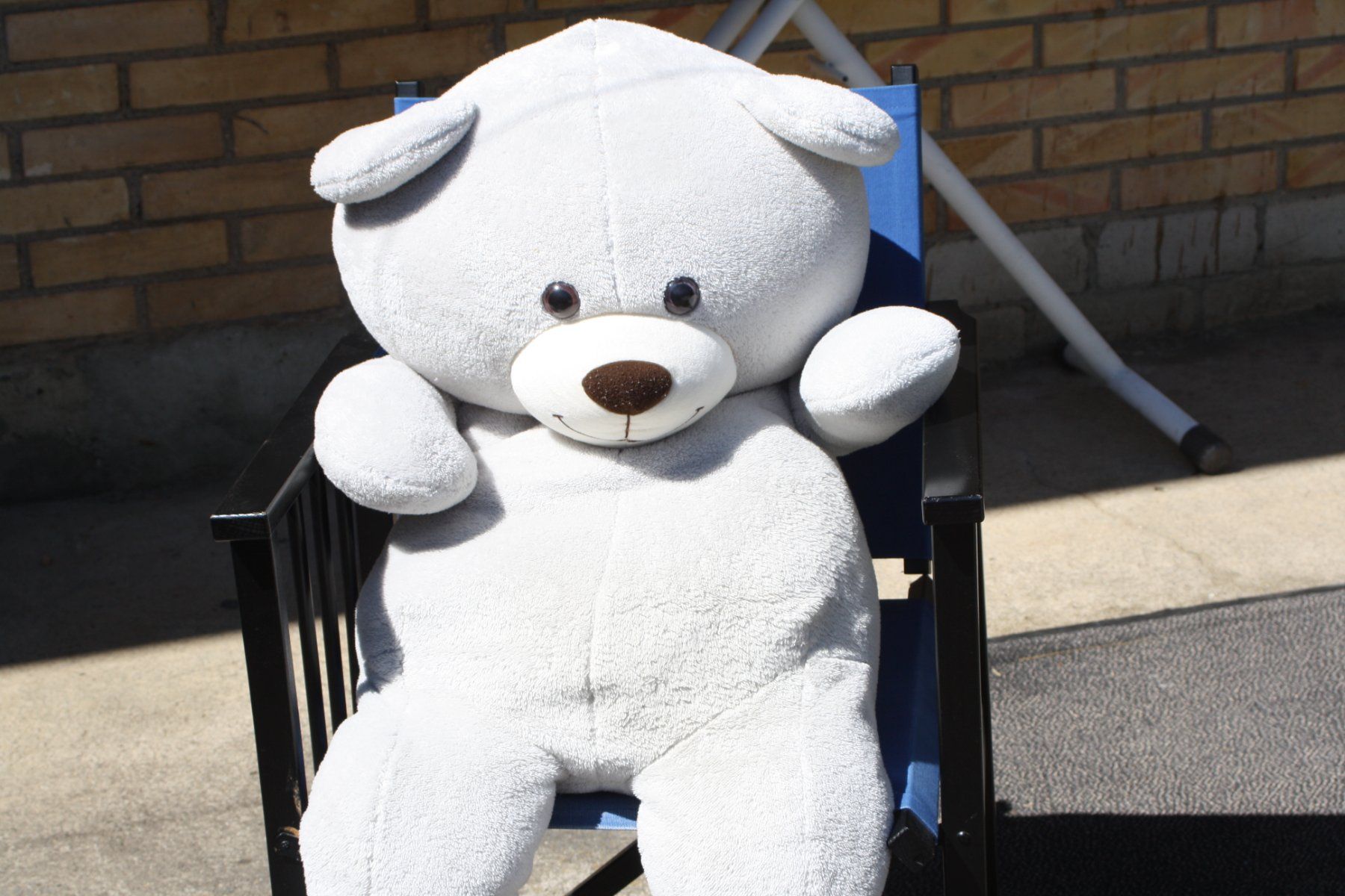 Jouets: GROSSER TEDDYBÄR PLÜSCHBÄR – D'occasion à Wauwil par Pneuedy 2