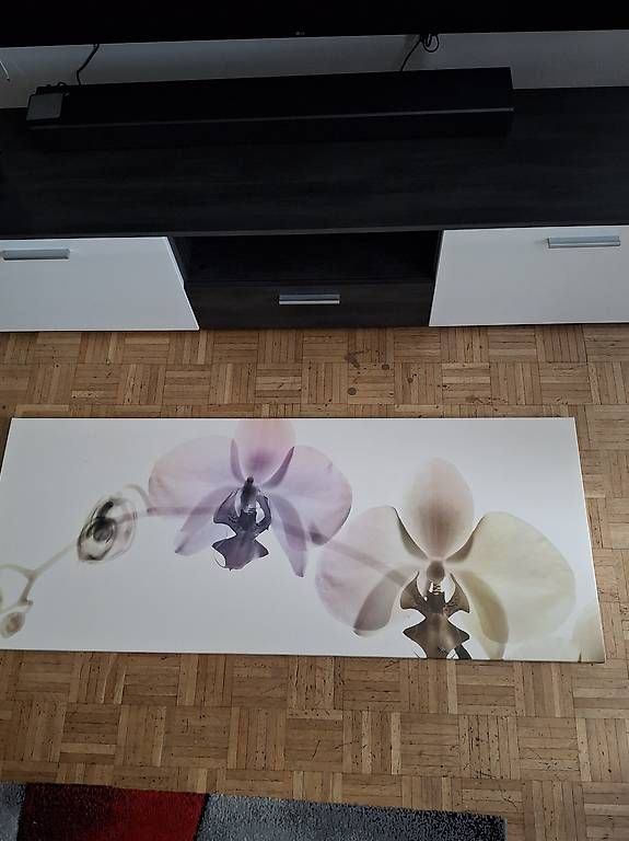 Foto & Immagini: schönes Wandbild mit Orchideen – Usato da Effretikon venduto da CorneliaM03 1