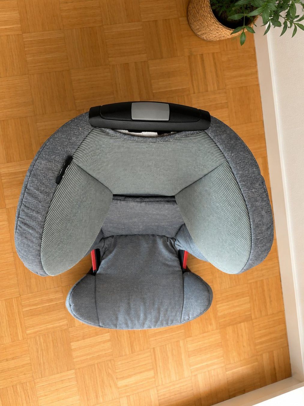 Maxi-Cosi Auto-Kindersitze: Maxi Cosi RodiFix AP Nomad Green Kindersitz – Gebraucht aus Rüti ZH von ManuMassi 5