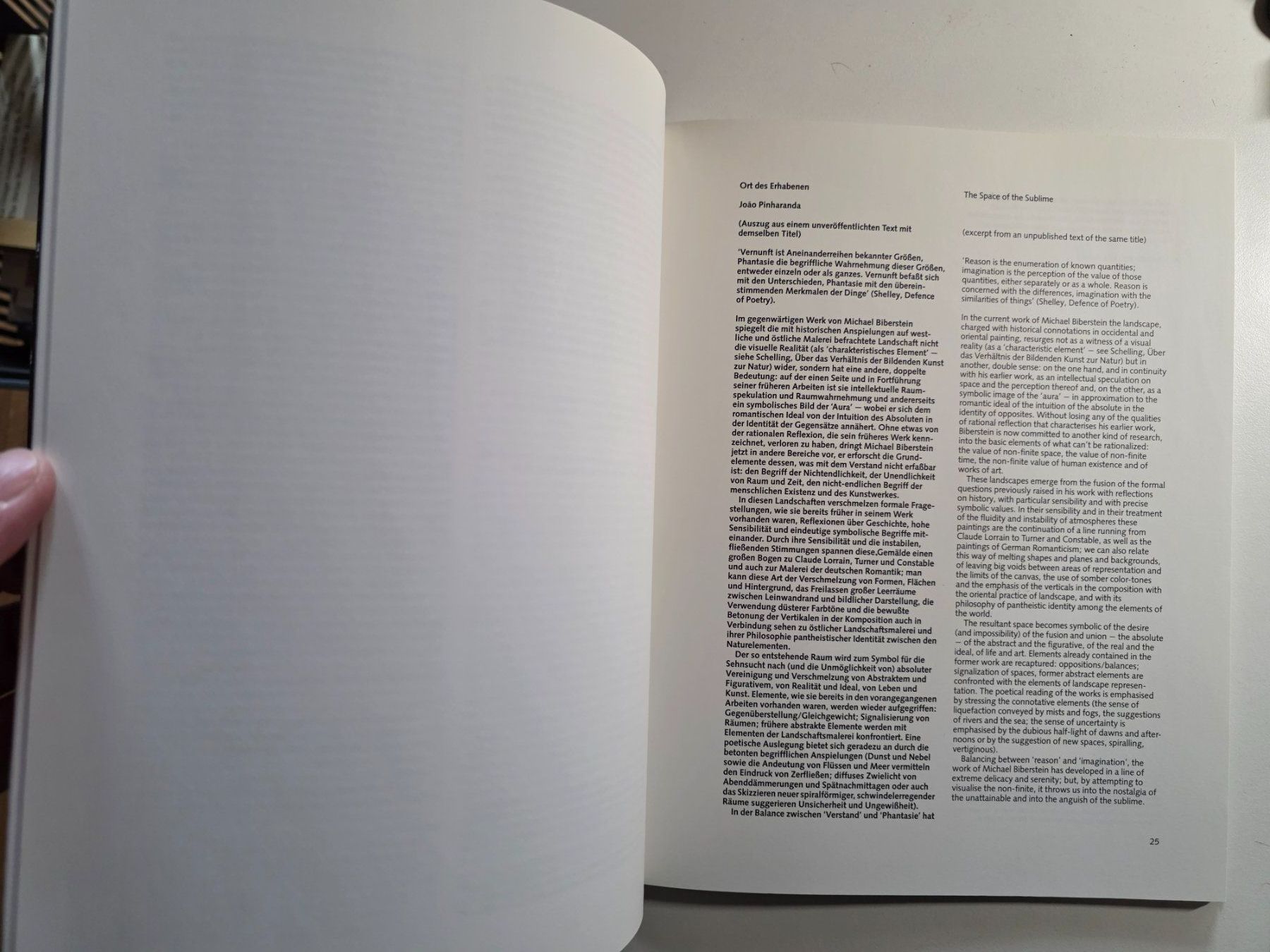 Libri: Michael Biberstein - Bilder Buch Kunst 1/1000 – Usato da Walterswil BE venduto da Lonitti 3