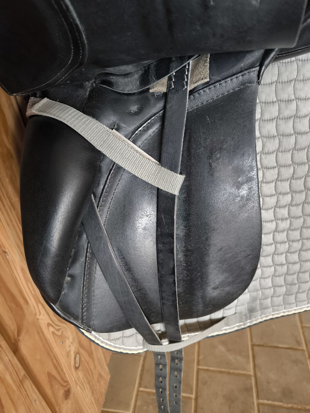 Selle & Accessori: DR-Sattel Passier, GG Extra – Usato da Zürich venduto da katjes 3