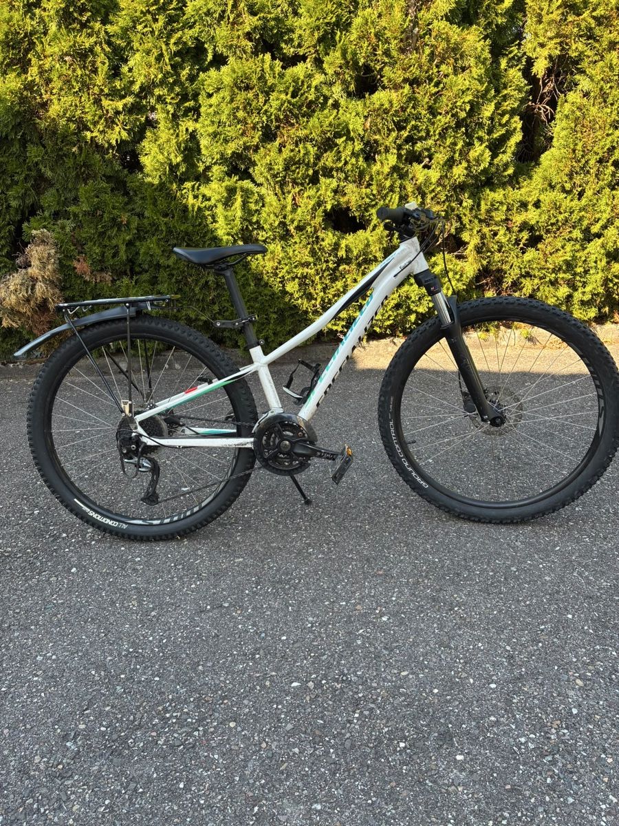 Specialized Biciclette: Specialized MTB für Kinder  – Usato da Pratteln venduto da Ahorn016 1
