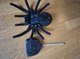 Ferngesteuerte Spielzeug-Spinne