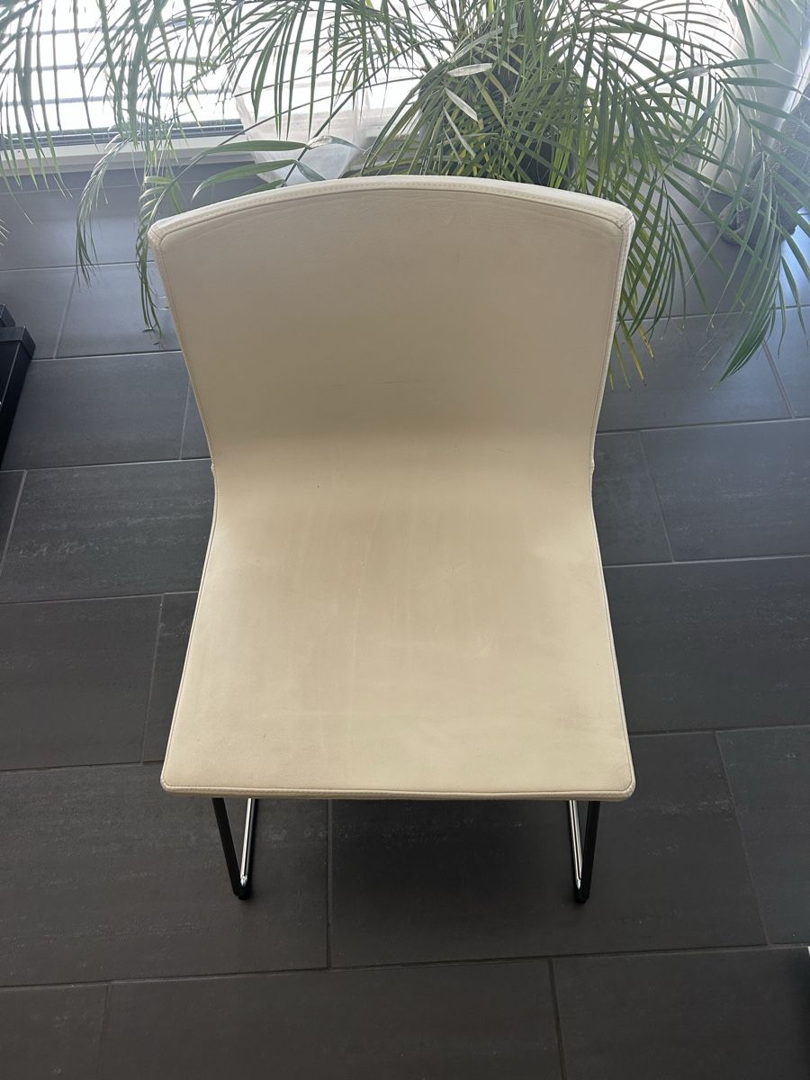 Stühle: Stuhl Creme Metallgestell modern gebraucht – Gebraucht aus Pfäffikon SZ von andi_dru 2