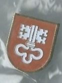 Niedwalden Kantonswappen PIN