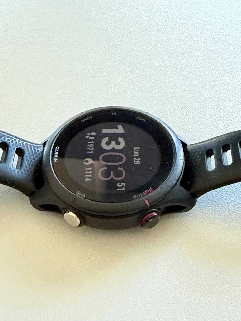 Garmin Smartwatch: Garmin 255S Music – Usato da Bellinzona venduto da andyricardd 2