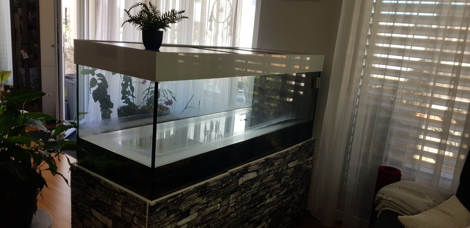 Acquari: Grosses Aquarium 570L – Usato da Müllheim Dorf venduto da Randy026 2