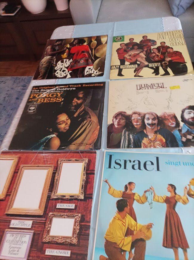 Dischi in vinile: Vinyl Schallplatten Sammlung – Usato da Nussbaumen AG venduto da Nmadona 8