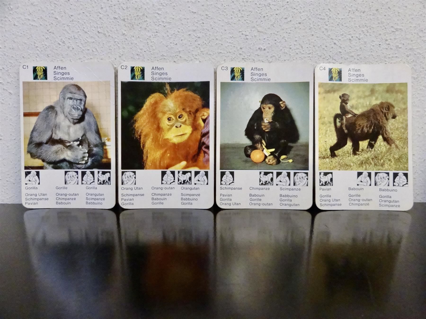 Giochi: schönes altes Quartett TIER-QUARTETT – Usato da Kerzers venduto da wisaundso 5