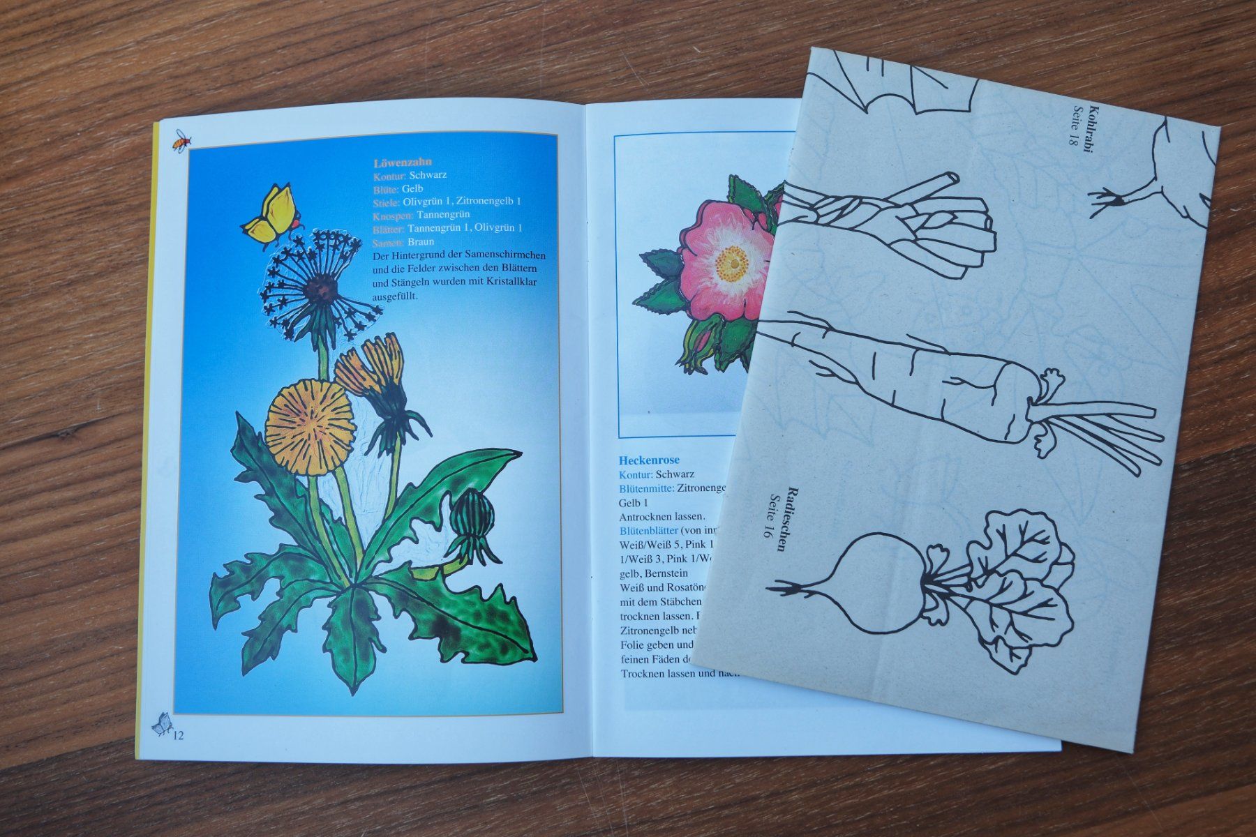 Libri: Blickfang Natur Window Color inkl. Vorlage – Usato da Wohlen AG venduto da Exitburn 3