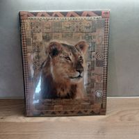 Löwenbild auf Karton