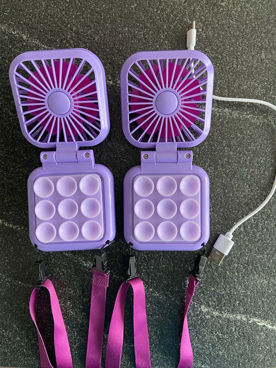 Ventilatori: 2x Mini Ventilatoren mit Akku/Ladekabel – Usato da Schwarzenburg venduto da Aha016 1